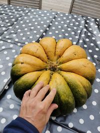 Close-up of hand holding fruit