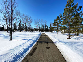 Snow covered field against blue sky