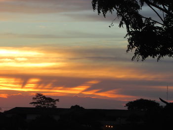 Silhouette trees against sky during sunset