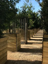 Shadow of trees on sunny day