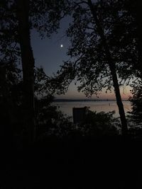 Silhouette trees against sky at night