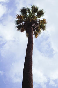 Low angle view of palm tree against sky