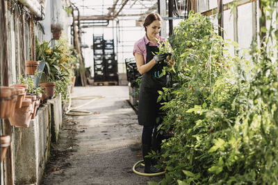 Woman standing in greenhouse