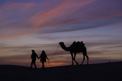 Silhouette couple with camel walking on desert during sunset