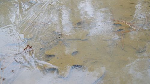 High angle view of wet reflection in water