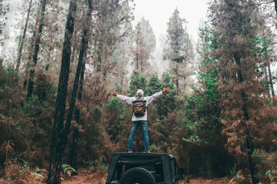 Man standing by plants in forest