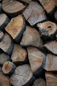 Cutted wood