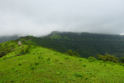 environment