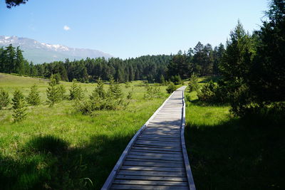 Boardwalk leading towards trees on landscape against sky