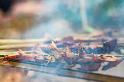 Close-up of food on glass table