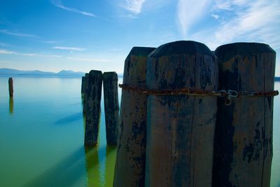 Scenic view of wooden posts in sea