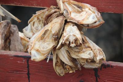 Close-up of fish for sale in market