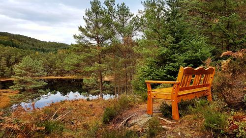 Trees and plants on landscape against sky