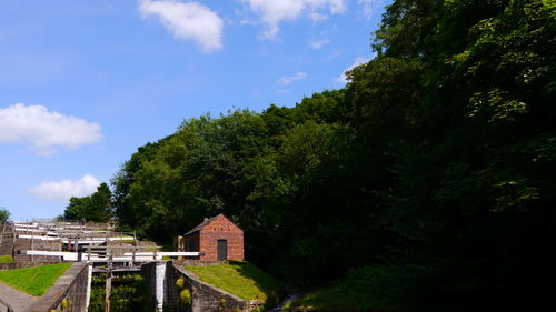 Trees and buildings against sky