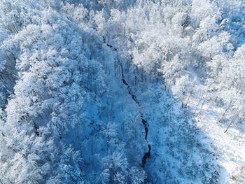 Full frame shot of frozen landscape