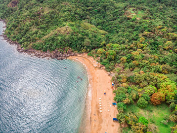 High angle view of trees by sea