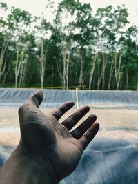 Midsection of person by tree against plants