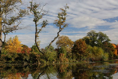 Reflection of trees in lake