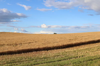 Scenic view of field against sky