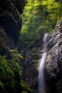 Scenic view of waterfall in forest