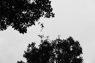 Low angle view of silhouette tree against clear sky