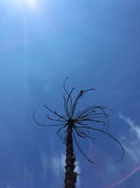 Low angle view of silhouette plant against blue sky