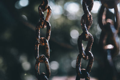 Close-up of chain