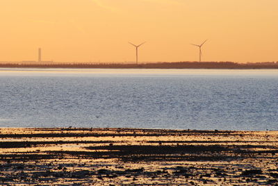 Sunset over field