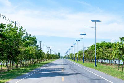 Solar lights on the road 