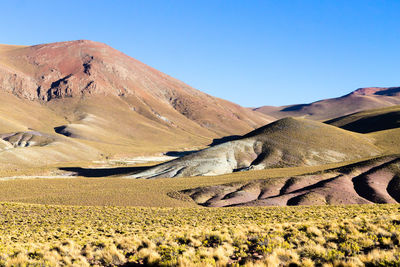 Scenic view of field against clear blue sky