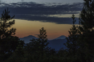 Silhouette trees by mountains against sky during sunset