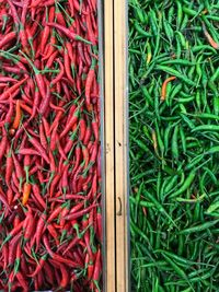 High angle view of red chili peppers in grass