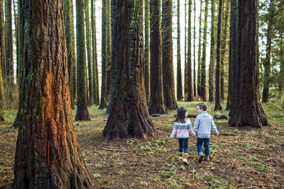 Rear view of people walking in forest