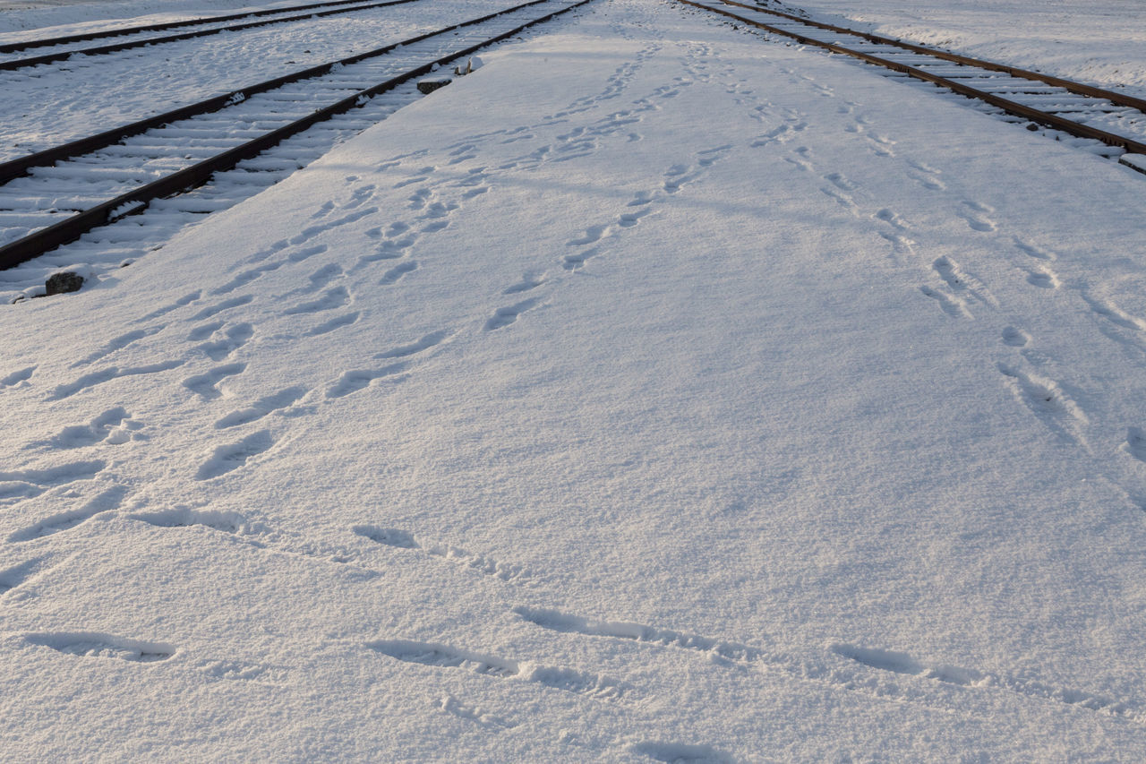 HIGH ANGLE VIEW OF TIRE TRACKS ON SNOW FIELD