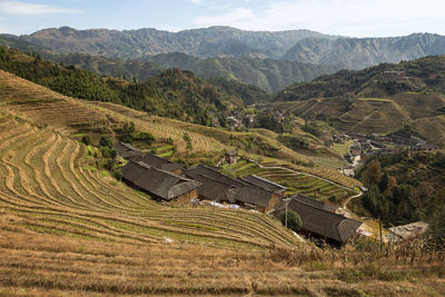 High angle view of agricultural field