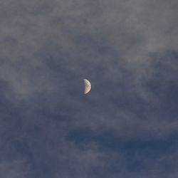 View of moon in sky