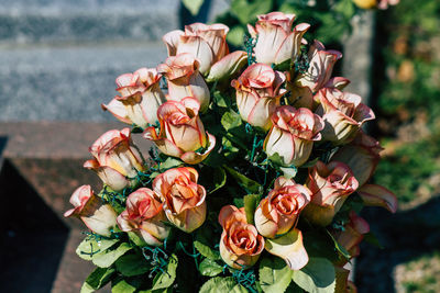 Close-up of rose bouquet