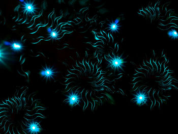 Low angle view of firework display at night