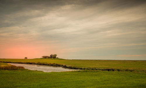 Scenic view of field against sky during sunset