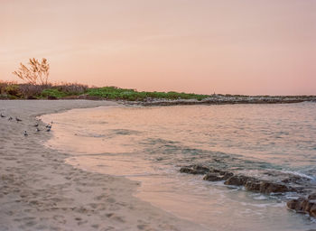 Scenic view of beach against sky during sunset