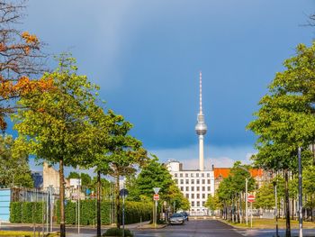 Trees in city against blue sky