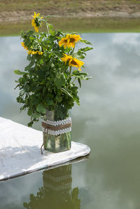 Close-up of flowers against blurred water