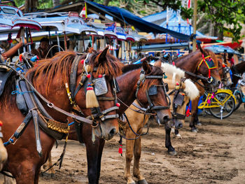 Horse cart