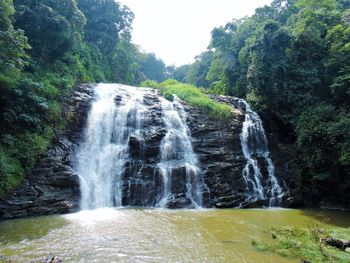 Scenic view of waterfall in forest