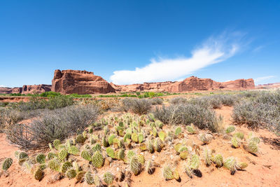 View of rock formations in desert against blue sky