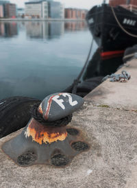 Close-up of plant against blurred background