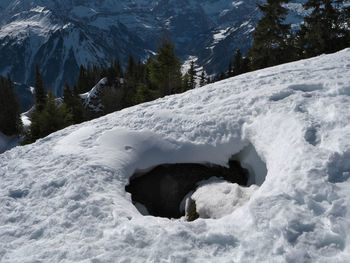 Scenic view of snowcapped mountains