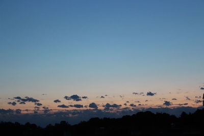 Silhouette trees against clear sky during sunset