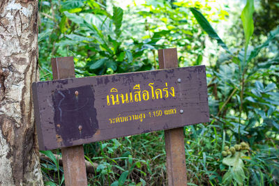 Close-up of sign on tree trunk