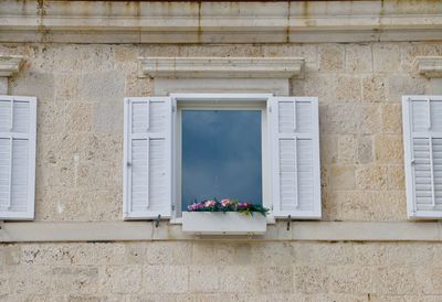 Low angle view of potted plants on window of building